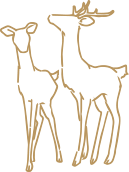 鹿のイラスト